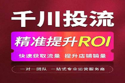 百度推广实战攻略：案例与策略